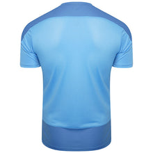 Load image into Gallery viewer, Puma Goal Training Top (Team Light Blue/Blue Yonder)