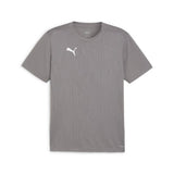 Puma TeamFINAL Training Top (Cast Iron/Puma Silver)