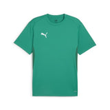 Puma TeamGOAL Training Shirt (Sport Green/PUMA White/Power Green)