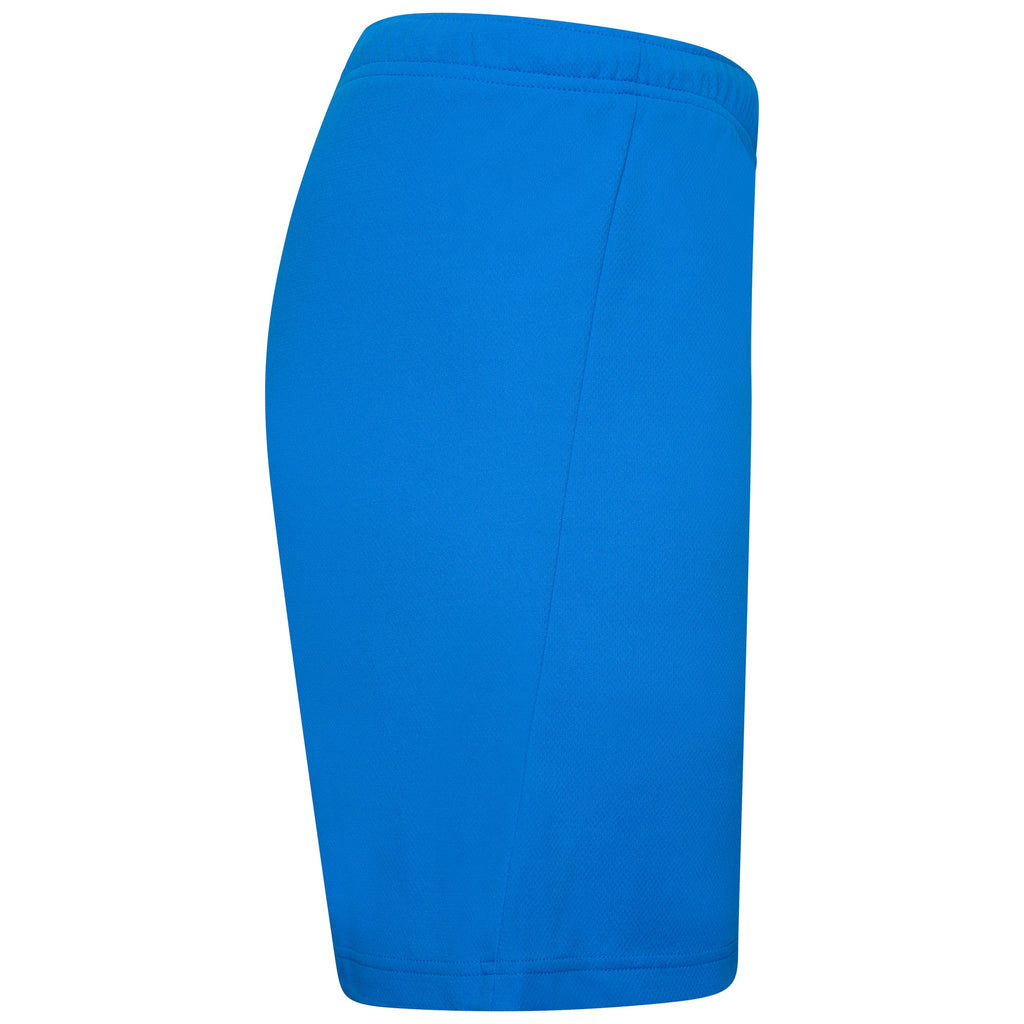 Puma Team Rise Football Short (Electric Blue/White)