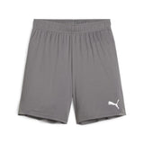 Puma TeamGOAL Football Short (Cast Iron/White)