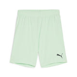 Puma TeamGOAL Football Short (Fresh Mint/Black)