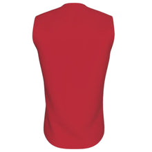 Load image into Gallery viewer, CK Cricket Sleeveless Slipover 001